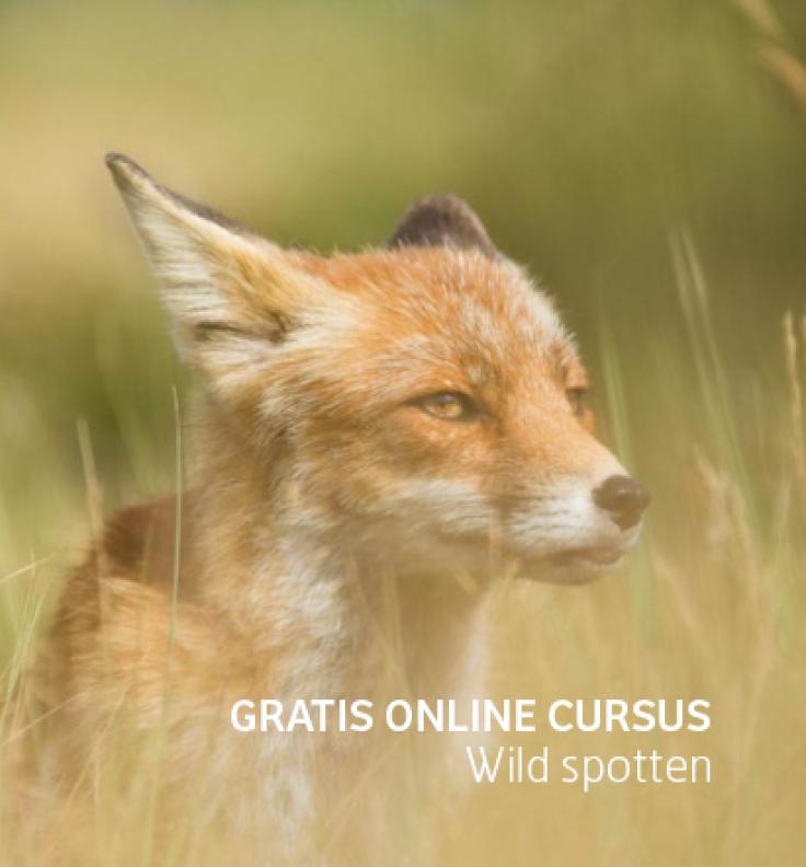 Gratis cursus Online Wild Spotten