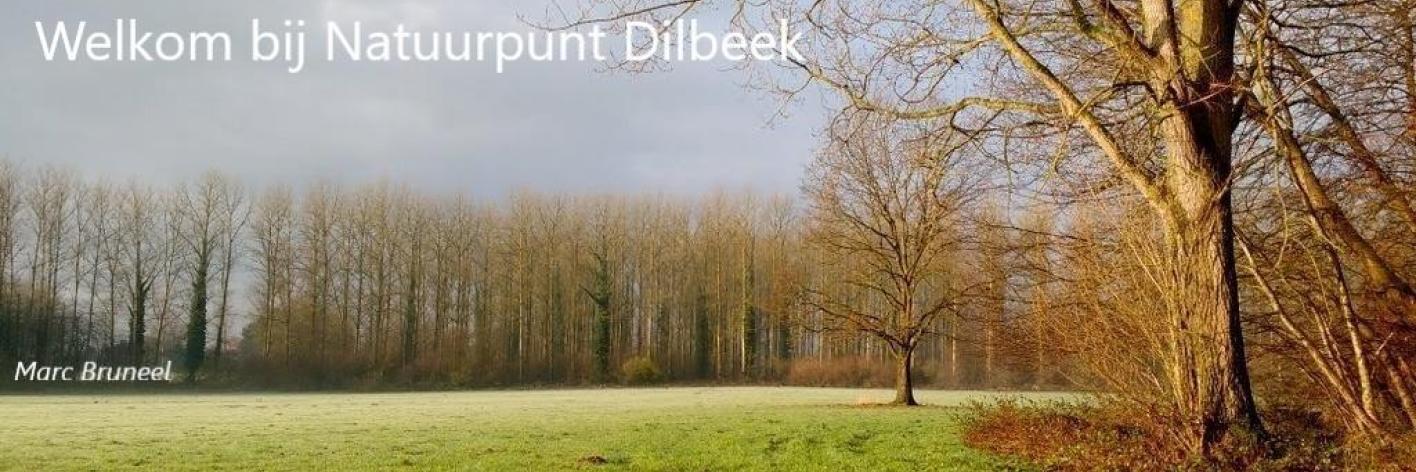 Dilbeek-Marc_Bruneel