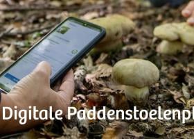 Digitale paddenstoelenpluk